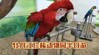 牡丹江珍稀动物园半日游
