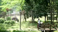 郴州南岭植物园游玩记（作业版）