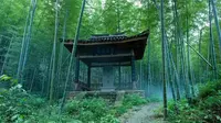 5月31日起，杭州富阳黄公望隐居地景区免费开放