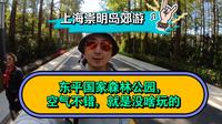 上海崇明岛东平国家森林公园，空气不错，就是没啥玩的