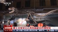 北京 霸王龙骨架化石亮相国家自然博物馆