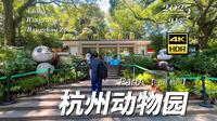 【4K超清】漫步杭州 杭州动物园-上 2025.9.15 | 漫游中国 | 杭州 | 云旅行 沉浸式 漫步 POV 旅行 白噪音 Citywalk