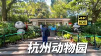 【4K超清】漫步杭州 杭州动物园-上 2025.9.15 | 漫游中国 | 杭州 | 云旅行 沉浸式 漫步 POV 旅行 白噪音 Citywalk