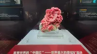 沉浸式逛湖南省地质博物馆的一天！大多都是父母带着小孩来参观的！里面很好看！推荐！！