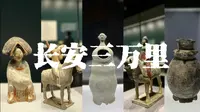 嘉兴博物馆｜马家浜文化VS长安三万里特展，被低估的博物馆