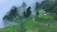 云南红河元阳哈尼梯田