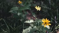 保定植物园