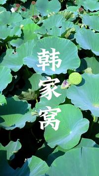 淄博周村韩家窝，夏末的荷花池，花与莲蓬都有