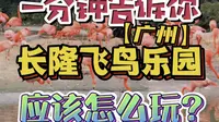广州长隆飞鸟乐园游玩全攻略来啦！收藏起来周末出门用的上！