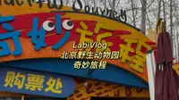 LabiVlog15｜淡季北京野生动物园的奇妙旅程太好玩儿啦！