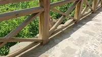 假期不知哪里去？天然氧吧等你来，山西蟒河猴子多，风景真不错！