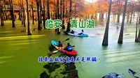 临安青山湖，一篇视频告诉你抹茶森林是不是照骗