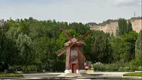 救命！在兰州植物园发现现实版《花园宝宝》现场！
