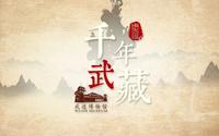 千年武藏——常州市武进区博物馆馆藏精品（合集）
