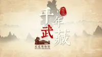 千年武藏——常州市武进区博物馆馆藏精品（合集）