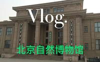 参观北京自然博物馆