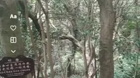 普陀山慧济寺至法雨寺的1088台阶