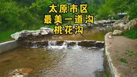 不出太原西山最美的一道沟峡谷溪流山居桃花绿色氧吧桃花沟