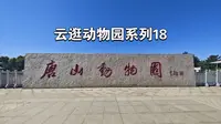 【云逛动物园系列】18.唐山动物园