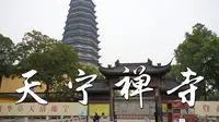4K 常州天宁禅寺 | 天宁寺 | 天宁宝塔(世界最高佛塔) 沉浸式游览
