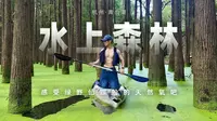 杭州青山湖水上森林，感受绿野仙踪般的极致翠绿