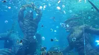 哈尔滨的波塞冬海底世界也太帅了！！