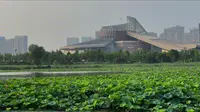 保定主城区的东湖公园，一座园子、两种模样，今天是郊野田园风