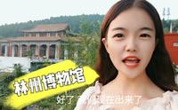 河南林州博物馆怎么样？文物不输大城市博物馆 小爽带你去看看
