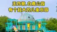 王四营.白鹿公园