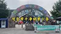 怀柔鹿世界主题乐园超详细攻略