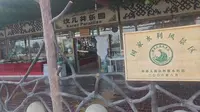坎儿井乐园01