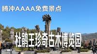 自驾旅行第107天：AAAA级免费景点，杜鹃王珍奇古木博览园，旅游公司很喜欢这个这里。