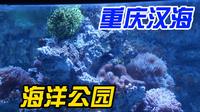 第四站 重庆汉海海洋公园