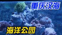 第四站 重庆汉海海洋公园
