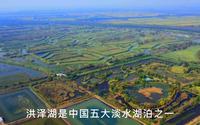 五大淡水湖泊之一的洪泽湖，其湿地是江苏省最大的淡水湿地自然保护区