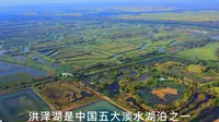 五大淡水湖泊之一的洪泽湖，其湿地是江苏省最大的淡水湿地自然保护区