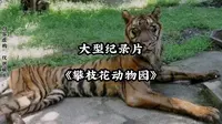 大型纪录片之《攀枝花动物园》