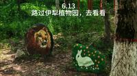 伊犁植物园