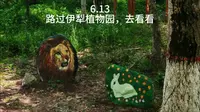 伊犁植物园