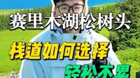 赛里木湖松树头详细保姆级攻略！一篇秒懂