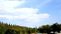 西沙明珠湖景区这里由湖泊、森林和天然湿地组成，是观鸟、骑行、体验水上运动的“天然氧吧”。如果你已经领略过都市繁华，想体验生态之美，这里是理想选择。
