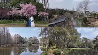 上海高桥滨江森林公园 4K跑步机风景vlog 三岔港 望海空中廊道 樱花林 水杉森林 滈园 森林木栈道 湿地 上海跑步路线 260307 citywalk
