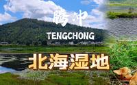 北海湿地丨腾冲藏在群山中的世外桃源