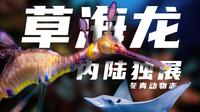 【内陆独展】神奇宝贝的现实版！上海长风海洋世界