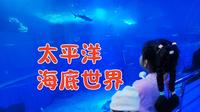 北京太平洋海底世界：最低性价比海洋馆？用年票去看真香