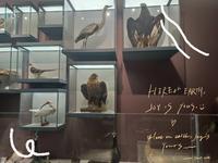 华中师范大学博物馆