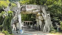 旅游vlog  龙津溪地