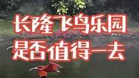 长隆飞鸟乐园是否值得一去？
