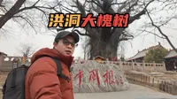山西洪洞大槐树，全球华人的寻根圣地，看看你的祖先是否来自这里