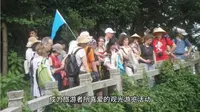 关中八景之华岳仙掌